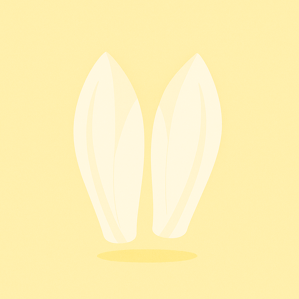 Endives 500g