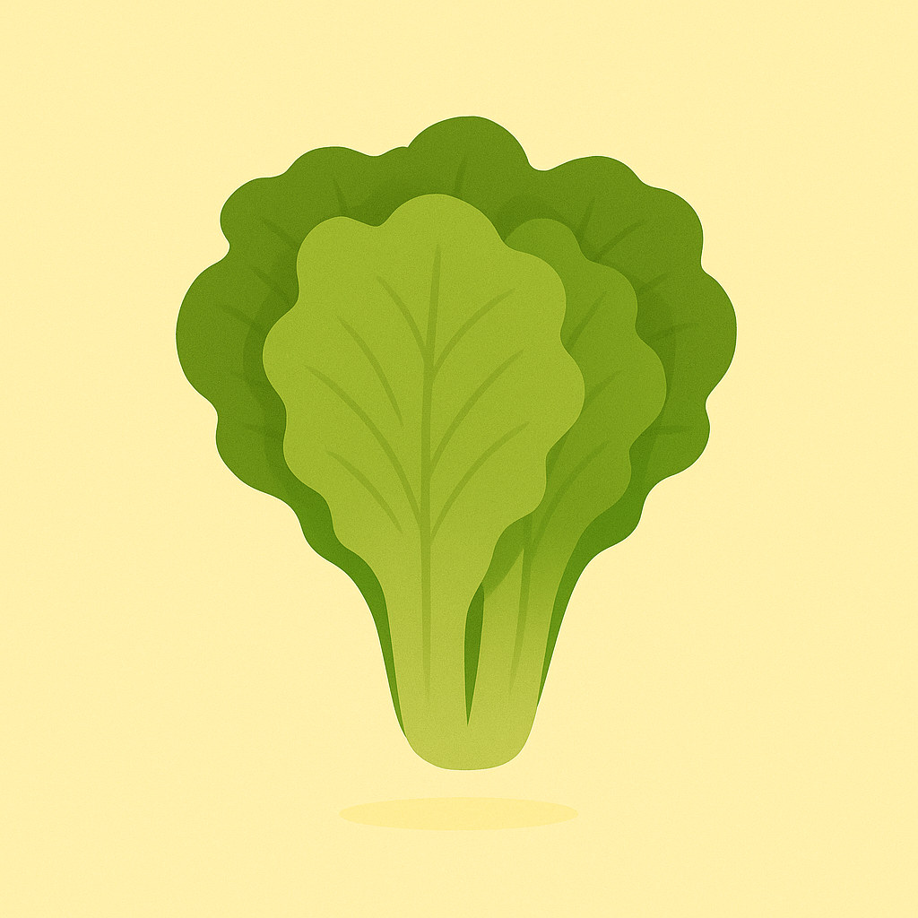 Salade