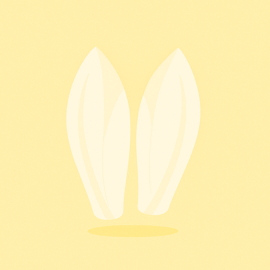 Endives 500g