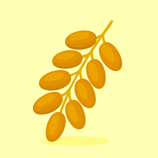 Dattes branches 500gr