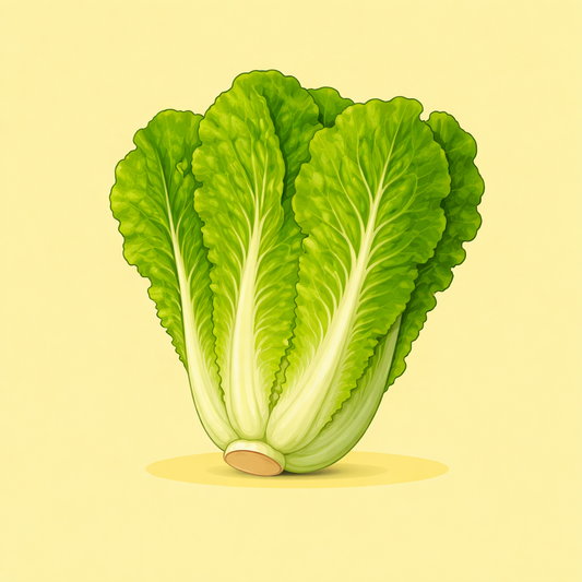 Salade romaine